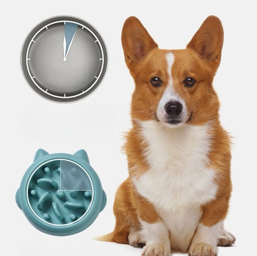 Anti-Choking Slow Feeder Bowl for Dogs
