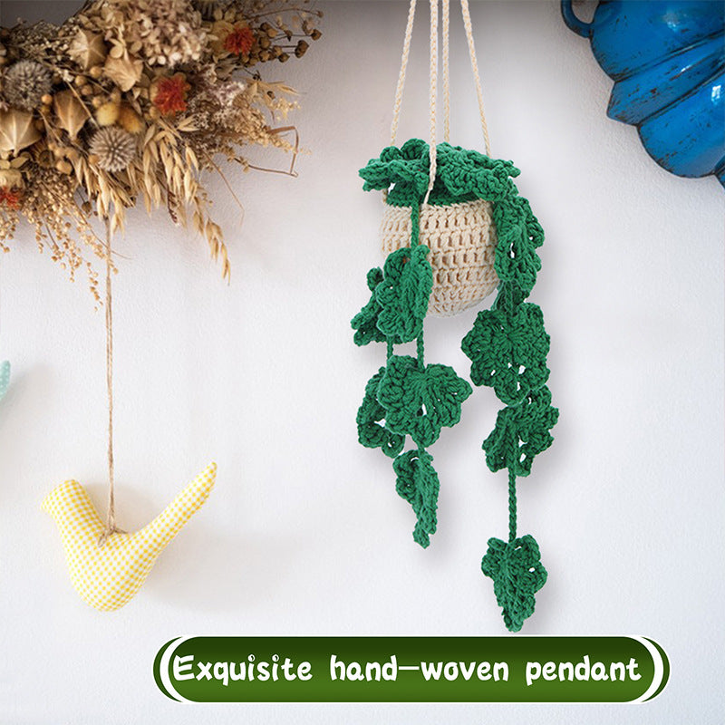 DIY Crochet Kit – Decorative Plant Pendant